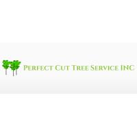 tree service sharonville oh image 1