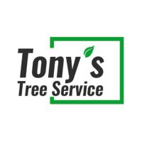 Tony's Tree Service LLC image 1