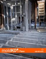 Mold KO of Plano image 14