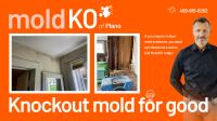 Mold KO of Plano image 2