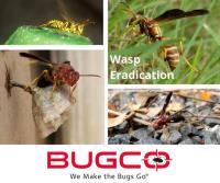 BUGCO Pest Control Austin image 2