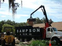 Sampson Tree Service image 2