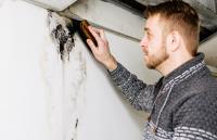 Frampton Place Mold Removal Experts image 1