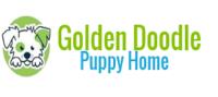 Goldendoodle PuppyHome image 1