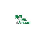 Mr. Plant image 1