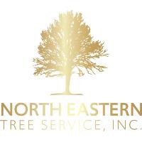 North Eastern Tree Service image 2