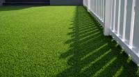 Scottsdale Artificial Turf image 1