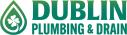 Dublin Plumbing & Drain logo