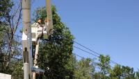 The Rebels Tree Service image 3