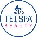 TEI Spa Beauty logo