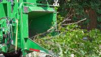 Strong Island Tree Service image 3