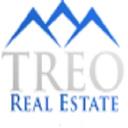 Treo Real Estate logo
