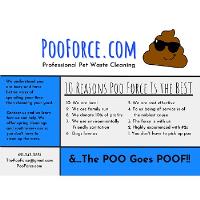 Poo Force LLC. Dog Poop Clean Up image 2