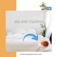 Hero Pest Control image 4