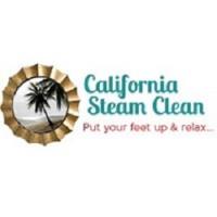 California Steam Clean image 3