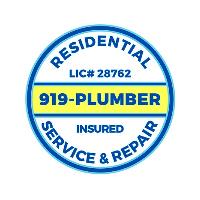 919-Plumber image 1