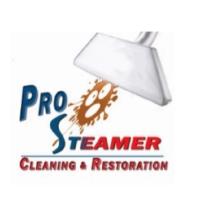 Pro Steamer Cleaning and Restoration image 1