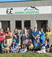 Seneca Animal Hospital image 3