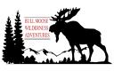 Bull Moose Wilderness Adventures logo