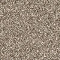 Carpet Empire Plus image 6