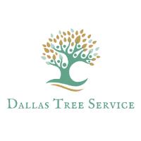Dallas Tree Service image 5