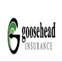 Goosehead Insurance - Matthew Baker image 1