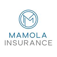 Mamola Insurance, PLLC image 1