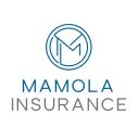 Mamola Insurance, PLLC logo