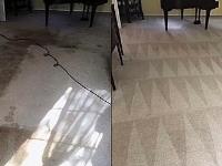 Safe-Dry Carpet Cleaning of Charlotte image 2