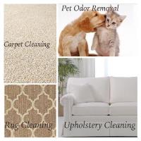 Safe-Dry Carpet Cleaning of Charlotte image 4