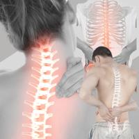 BackFit Health + Spine image 8