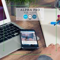 Alpha Pro Partners image 7