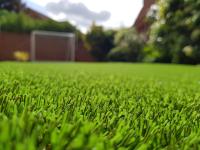 Synthetic Lawns of Las Vegas image 1