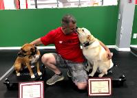 Sit means sit dog training in Westchester image 1