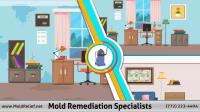 Mold Remediation Specialists image 2