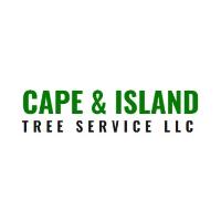 Cape & Island Tree Service image 3