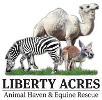 Liberty Acres Animal Haven & Equine Rescue image 4