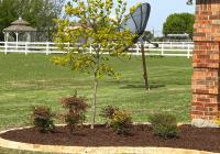 Southern Style Landscaping image 3