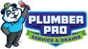 Gwinnett Plumber Pro Service logo