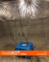 Mold KO of Dallas image 1
