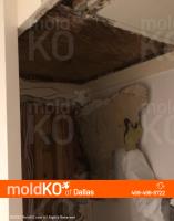 Mold KO of Dallas image 6