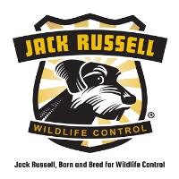 Jack Russell Wildlife Control image 1