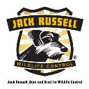Jack Russell Wildlife Control logo