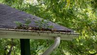 Electric City Gutter Solutions image 3