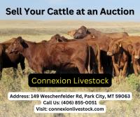 ConneXion Livestock image 1