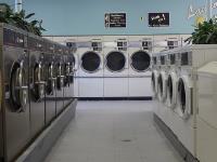 The Laundry Lounge image 8