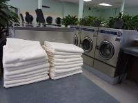 The Laundry Lounge image 5