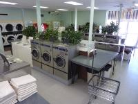 The Laundry Lounge image 6