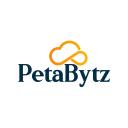Petabytz Technologies Inc logo
