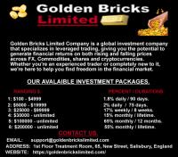 Golden Bricks Ltd image 2